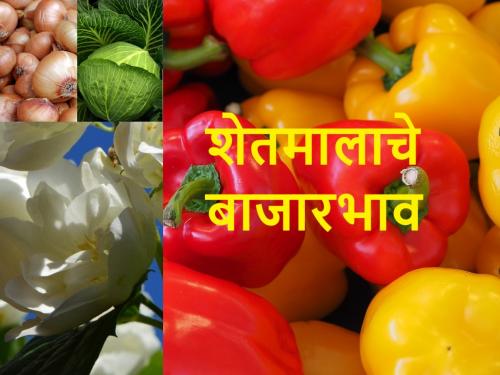 Ganesh Chaturthi : flowers and Vegetable demand will increase; These are today's market prices | गणेश चतुर्थी : फुले वधारली, भाजीपाला मागणीही वाढणार; असे आहेत आजचे बाजारभाव