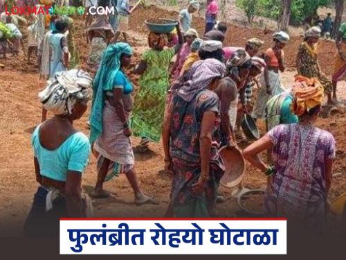 latest news MGNREGA Scheme: Misappropriation of Rs 5 crore? Investigation into 96 works of Rohyo begins, read in detail | MGNREGA Scheme : ५ कोटींचा गैरव्यवहार? रोहयोच्या ९६ कामांची चौकशी सुरू वाचा सविस्तर