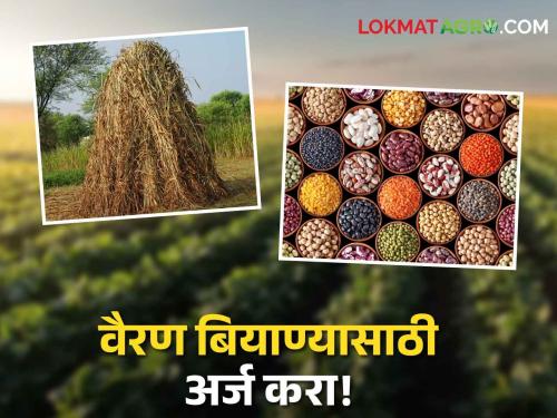 Latest News Farmers apply for Fodder seed? Read the complete process here  |  Fodder Seed : शेतकऱ्यांनो! वैरण बियाण्यासाठी अर्ज केला का? इथं वाचा संपूर्ण प्रक्रिया 