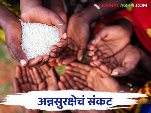 Food Security: What caused the country's food security and farmers' financial calamity to deteriorate? | Food Security: देशाची अन्नसुरक्षितता आणि शेतकऱ्यांचे आर्थिक गणित बिघडले कशामुळे?