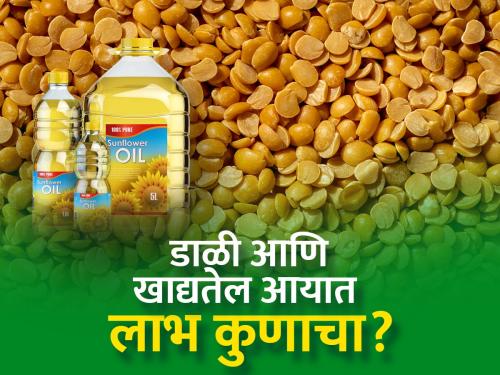 How to satisfy the hunger on imports? | आयातीवर भूक कशी भागविणार?