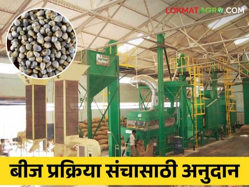 Golden opportunity for farmers producing companies.. Subsidy upto 10 lakh rupees for seed processing setup | शेतकरी उत्पादक कंपन्यांसाठी सुवर्णसंधी.. बियाणे प्रक्रिया संचासाठी मिळणार १० लाख रुपयांपर्यंत अनुदान