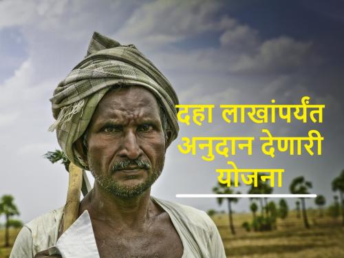 Farming Scheme: how to get 10 lakhs rupees subsidy with this government scheme for farmers | Farming Scheme: शेतकरी बांधवांनो, बीज प्रक्रियेच्या या योजनेसाठी मिळतंय दहा लाखांचं अनुदान