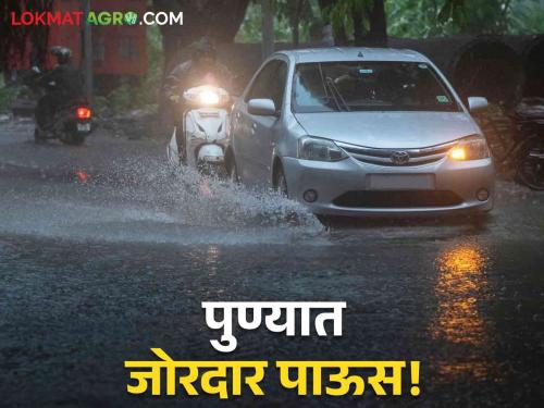 Pune Disctrict monsoon Rain Heavy rain in Pune on the eve of Navratri | Pune Rain : नवरात्रीच्या पूर्वसंध्येला पुण्यात दमदार पावसाची हजेरी