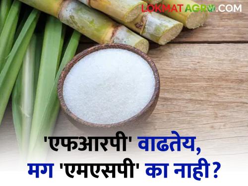 'FRP' is increasing, so why not 'MSP'? Question of sugar producer associations | 'एफआरपी' वाढतेय, मग 'एमएसपी' का नाही? साखर उत्पादक संघटनांचा सवाल