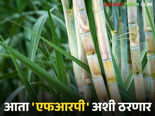 The central government has given 'this' decision to fix the FRP; will the sugarcane price be like this now? | एफआरपी निश्चित करण्यासाठी केंद्र शासनाने दिला 'हा' निणर्य; आता असा ठरणार उसाचा दर?