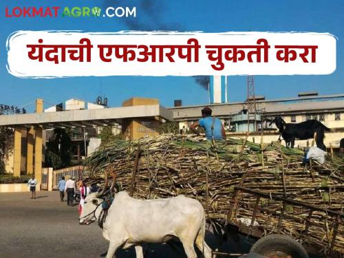 29 thousand 696 crores of FRP to sugarcane growers in the state | राज्यामधील ऊस उत्पादकांना एफआरपीचे २९ हजार ६९६ कोटी