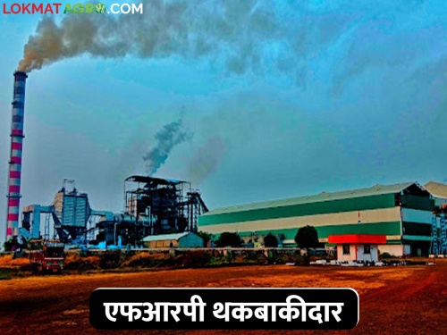 96 factories in the state and 23 factories in Solapur district have exhausted FRP | Sugarcane FRP राज्यातील ९६ तर सोलापूर जिल्ह्यातील २३ कारखान्यांनी थकवली एफआरपी