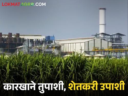 Additional income to sugar mills; When will the sugarcane farmers account? | साखर कारखान्यांना मिळणारं अतिरिक्त उत्पन्न; ऊस उत्पादकांच्या खात्यात केव्हा येणार?