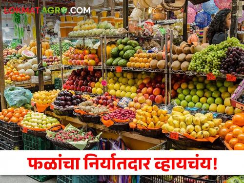 Latest news Five day training program in Pune to become an agricultural exporter | Fruit Exporter :तुम्हाला फळ निर्यातदार व्हायचंय, पुण्यात जूनमध्ये पाच दिवसांचे प्रशिक्षण