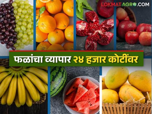 Indian fruits have increased in importance in the global market; Exports of 43 lakh 35 thousand tonnes of fruits | भारतीय फळांचे जागतिक बाजारपेठेत महत्त्व वाढले; तब्बल ४३ लाख ३५ हजार टन फळांची निर्यात