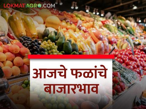 latest news 11 feb 2024 todays fruit market price in pune bajar samiti | पुणे बाजार समितीत फळांना काय बाजारभाव मिळाला? आजचे फळ बाजारभाव 