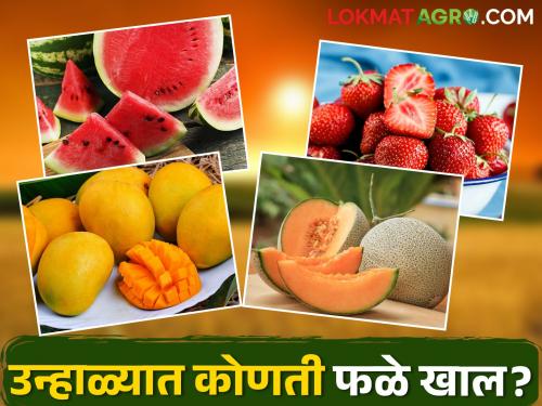 Eat these fruits in summer; Illness ran away | उन्हाळ्यात खा ही फळे; आजरपण दूर पळे