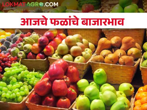 Latest News today's fruit market prices in maharashtra | भुसावळी केळीला आज काय भाव मिळाला? वाचा आजचे फळ बाजारभाव 