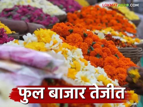 Ful Market : Flower market booms to welcome Bappa; Which flowers are fetching the highest prices? | Ful Market : बाप्पांच्या स्वागताला फूलबाजार तेजीत; 'ह्या' फुलांना मिळतोय सर्वधिक दर?