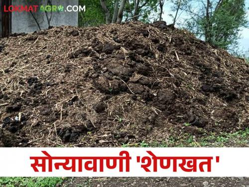 Earn gold from farm yard manure; For one tractor trolley you get Rs | उकिरड्यातून कमवा सोने; एका ट्रॅक्टरसाठी मिळतायत इतके रुपये