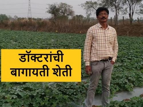 Latest News Closing medical business and earning lakhs from horticulture by gadchiroli doctor | Success Story : शेतीसाठी वैद्यकीय व्यवसाय साेडला, आता बागायती शेतीतून लाखोंचे उत्पन्न 