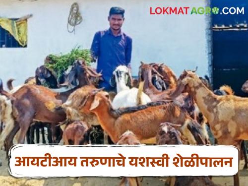 Latest News An ITI graduated youth set up a goat rearing business in gadchiroli | Success Story : इलेक्ट्रॉनिक ट्रेडमध्ये आयटीआय, पण नोकरी न करता शेळीपालनाचा व्यवसाय उभारला! 