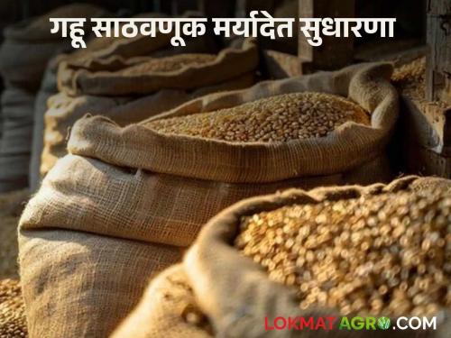 Latest News gahu sathvanuk Important appeal from the government to traders, sellers, and processors who store wheat | Wheat Storage : गहू साठवणाऱ्या व्यापारी, विक्रेते, प्रक्रियाकर्ते यांना केंद्र शासनाकडून महत्वाचं आवाहन 