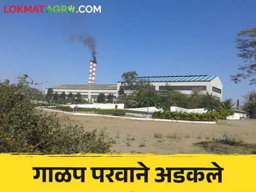 Us Galap 2024 : Sugarcane crushing licenses of these debt-ridden factories were stuck in the regional office | Us Galap 2024 : देणी थकविणाऱ्या या कारखान्यांचे गाळप परवाने प्रादेशिक कार्यालयातच अडकले