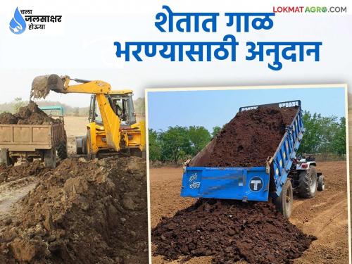 want to fill the field with silt.. Where can I apply for silt? How much subsidy do I get? Find out in detail | शेतात गाळ भरायचाय.. कुठे कराल गाळासाठी मागणी? किती मिळतंय अनुदान? जाणून घ्या सविस्तर