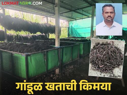 Chavan brothers on the banks of Krishna have made their farming prosperous through vermicompost production; They are making a profit of lakhs | कृष्णेच्या काठावरील चव्हाण बंधूंनी गांडूळ खत निर्मितीतून शेती केली समृद्ध; काढत आहेत लाखोंचा नफा