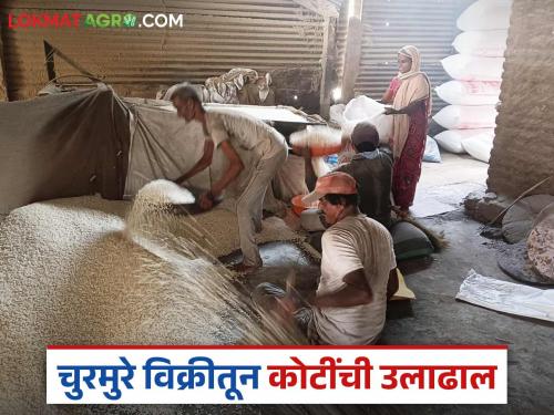 'This' family from Pandharpur makes a turnover of crores by selling churmure during Ashadhi Wari; Read in detail | आषाढी वारीमध्ये पंढरपुरातील 'हे' कुटुंब चुरमुरे विक्रीतून करते कोटींची उलाढाल; वाचा सविस्तर