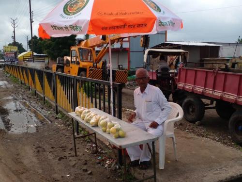 How Ganeshbhai Patil from Lonkheda, Shahada earns daily farm income | खान्देशच्या शेतकऱ्याची कल्पकता न्यारी; शेतातून रोज करतात ताजी कमाई