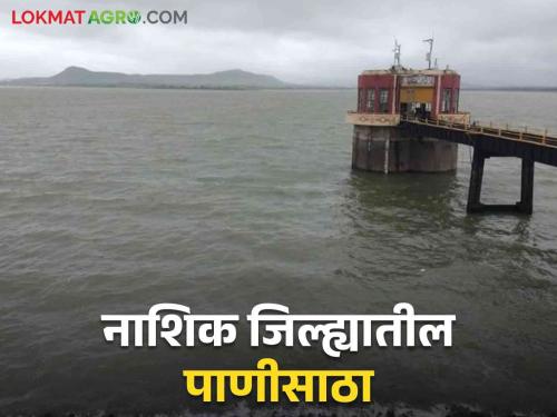 Latest News Gangapur Dam Gangapur is 100 percent full, how much is Nashik's water storage Read in detail  | Gangapur Dam : गंगापूर 100 टक्के भरले, नाशिकचा पाणीसाठा किती? वाचा सविस्तर 