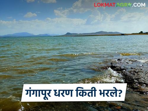 Latest News Gangapur Dam stock at 45 percent in May, water storage in 10 years |  Gangapur Dam : मे महिन्यात गंगापूर धरणातील साठा 45 टक्क्यांवर, 10 वर्षातील पाणीसाठा?  