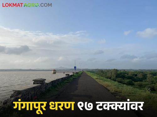 Latest news Rains increase again, Gangapur dam 97 percent full, discharge continues | Gangapur Dam : पावसाचा जोर पुन्हा वाढला, गंगापूर धरण 97 टक्के भरले, विसर्ग सुरूच 