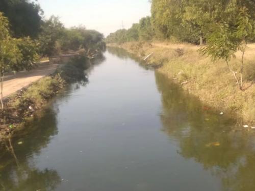 Latest News First diversion from Gangapur canal, relief to farmers | गंगापूर कालव्यातून पहिले आवर्तन, शेतकऱ्यांना दिलासा 