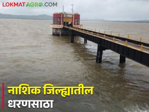 Latest News Nashik Dam Storage Nashik's six dams overflowed see Gangapur, Darna water storage | Nashik Dam Storage : नाशिकची सहा धरणे ओव्हरफ्लो, गंगापूर, दारणा किती टक्के भरलं? 