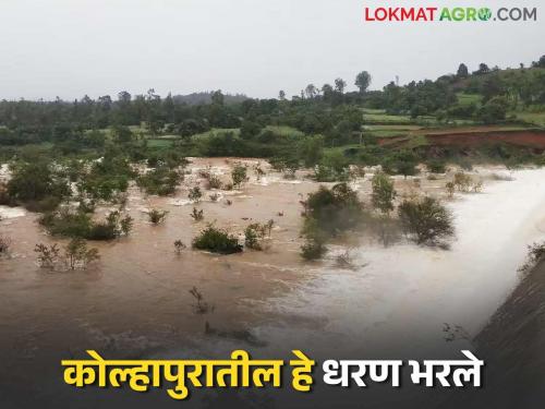 Due to heavy rains, this dam in Kolhapur overflowed in June itself | मुसळधार पावसामुळे कोल्हापूरमधील हे धरण जूनमध्येच ओव्हरफ्लो