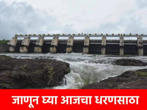 Maharashtra Dam storage: How much water is stored in the state's dams at the beginning of monsoon? | Maharashtra Dam storage: मान्सूनच्या सुरुवातीला राज्यातील धरणांमध्ये किती पाणीसाठा?