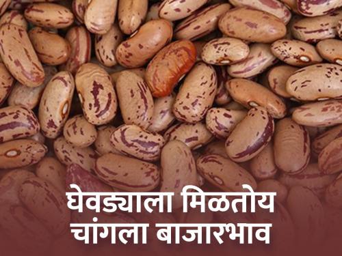 Ghewda rajma 11 thousand rupees per quintal | घेवडा ११ हजार रुपये क्विंटल