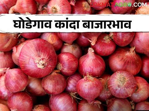 Kanda Bajar Bhav : How is Golti onion getting price in Ghodegaon market comittee | Kanda Bajar Bhav : घोडेगाव बाजार समितीत गोल्टी कांद्याला कसा मिळतोय दर