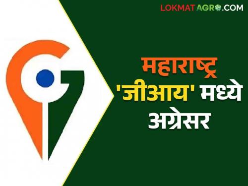 GI Tag: Maharashtra state ranks first in the country in terms of geographical classification of agricultural products | GI Tag: कृषी उत्पादनांच्या भौगोलिक मानांकनात महाराष्ट्र राज्य देशात प्रथम क्रमांकावर