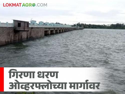 Latest News Girna dam 90 percent water storage in Girna Dam in malegaon taluka nashik district | Girna Dam : गिरणा धरणाचे दरवाजे कधीही उघडू शकतात, 31 ऑगस्टपर्यंत किती टक्के भरले? 