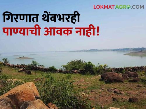 Latest News How much water in nashik district girna dam jalgaon see details | Girna Dam : गिरणा धरणात थेंबभर पाण्याचीही आवक नाही, किती जलसाठा शिल्लक?