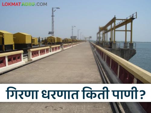 Latest News Girna Dharan What percentage of water is left in Girana Dam Know in detail | Girna Dam Storage : गिरणा धरणात किती टक्के पाणी शिल्लक? जाणून घ्या सविस्तर 
