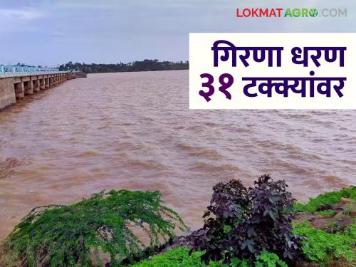 Latest News Nashik Rain Water level in jalgaon Girna Dam is 31.28 percent | Girana Dam : नाशिकच्या पावसाने 'गिरणा' धरणाला बुस्टर, 'हतनूर'चे 10 दरवाजे उघडले!  