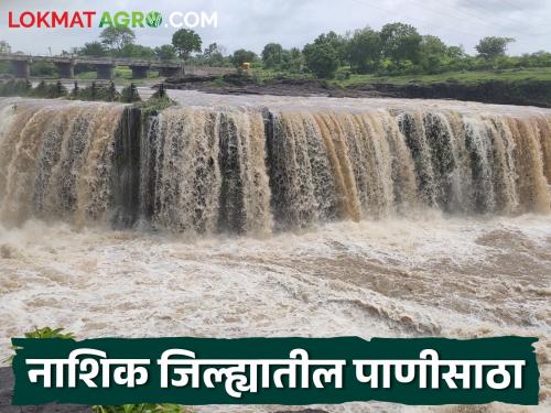 Latest news How much water went to Jayakwadi from Gangapur dam Dam storage in Nashik district | Gangapur Dam : गंगापूर धरणांतून जायकवाडीला किती पाणी गेलं? नाशिक जिल्ह्यातील धरणसाठा 