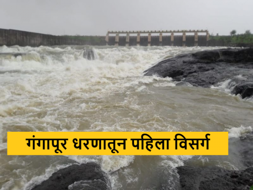 Latest News 80 percent water storage in nashik Gangapur Dam, water discharged 6 thousand cusec | Gangapur Dam : गंगापूर धरणात 80 टक्के पाणीसाठा, यंदाच्या हंगामातील पहिला विसर्ग 