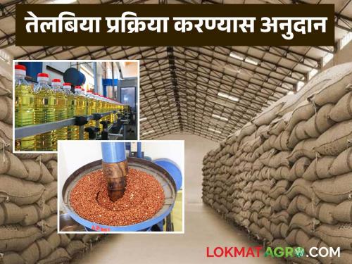 Now subsidy will be available for warehouse and oilseed processing unit from a single scheme; Read in detail | गोदाम व तेलबिया प्रक्रिया युनिटसाठी आता एकाच योजनेतून मिळणार अनुदान; वाचा सविस्तर