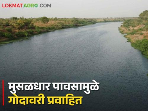 For the first time since 2007, the Godavari river has flowed at the beginning of monsoon | Godavari River २००७ नंतर पहिल्यांदाच पावसाळ्याच्या सुरुवातीला प्रवाहित झाली गोदावरी नदी