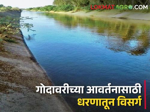 Latest News water discharged from Gangapur, Darna, Mukne dams for ahmednagar district | Water Discharged : गंगापूर, दारणा, मुकणे धरणातून उन्हाळी सिंचन आणि बिगर सिंचनाचे आवर्तन