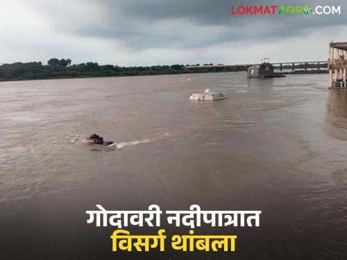 latest news Jayakawadi Dam Update: Jayakawadi Dam discharge stopped due to reduced inflow; Read in detail how much water storage is available | Jayakawadi Dam Update : आवक घटल्याने जायकवाडीचा विसर्ग थांबवला; जलसाठा किती उपलब्ध वाचा सविस्तर