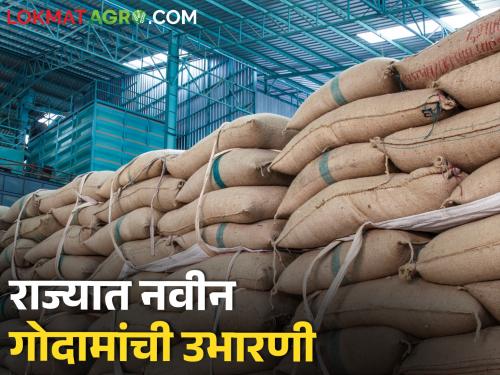 Latest News Construction of new seed godowns in 28 places in maharashtra state | राज्यात 28 ठिकाणी नवीन गोदामांची उभारणी, पहा कुठे कुठे होणार धान्य गोदाम 