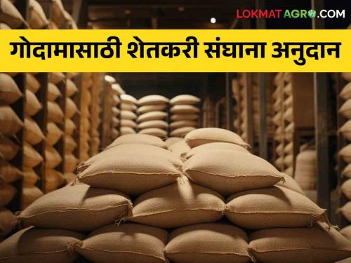 Latest News 50 percent subsidy to farmers' unions for construction of godowns | Agriculture News : गोदाम बांधकामासाठी शेतकरी संघांना इतके अनुदान, जाणून घ्या सविस्तर 